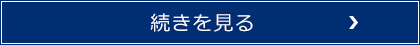 続きを見る